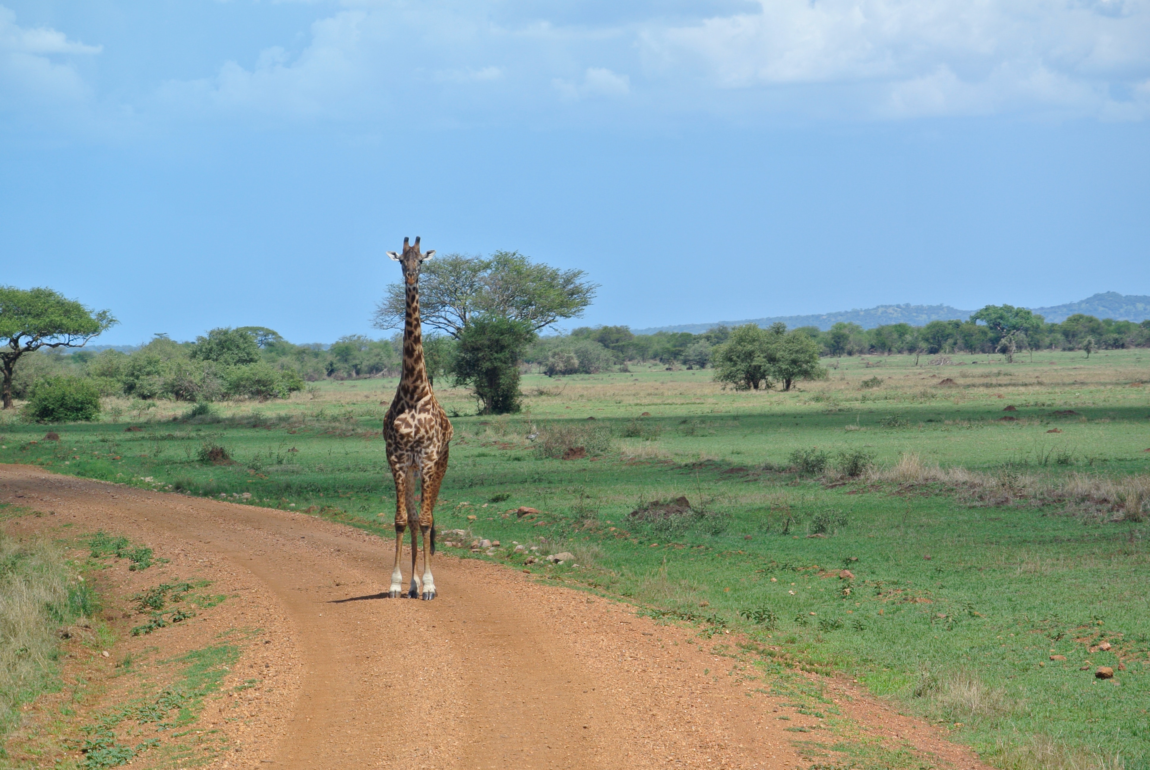 3 days safari