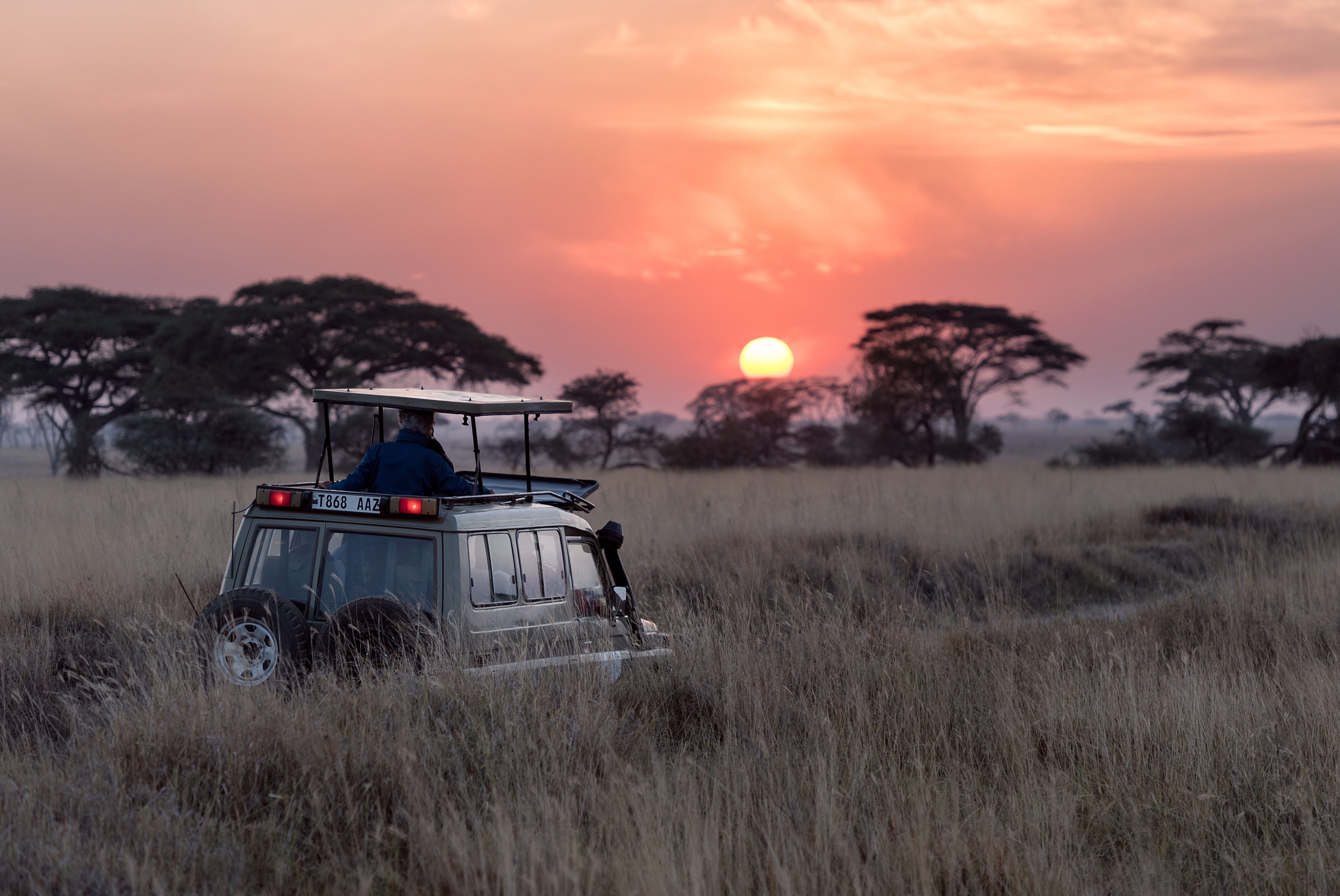 6 days safari